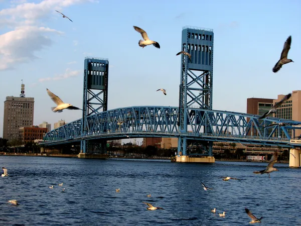 Daytime Closures on Main St and Roosevelt Blvd Today; I-95 North Interchange Delays Continue