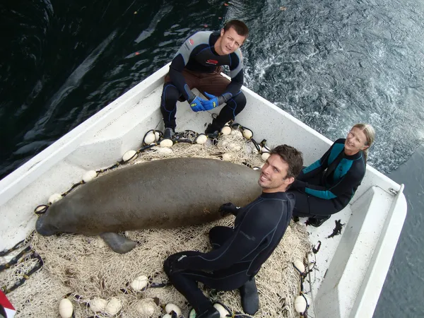 Jacksonville Zoo opens Manatee River habitat to expand rescue care and public viewing capacity
